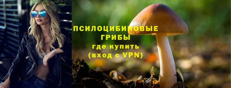 blacksprut онион  Нязепетровск  Галлюциногенные грибы MAGIC MUSHROOMS 